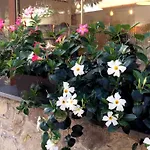 B&B Sorrento Central Отель типа 