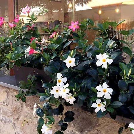 B&B Sorrento Central Frühstückspension