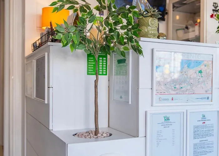 B&B Sorrento Central 住宿加早餐酒店 索伦托