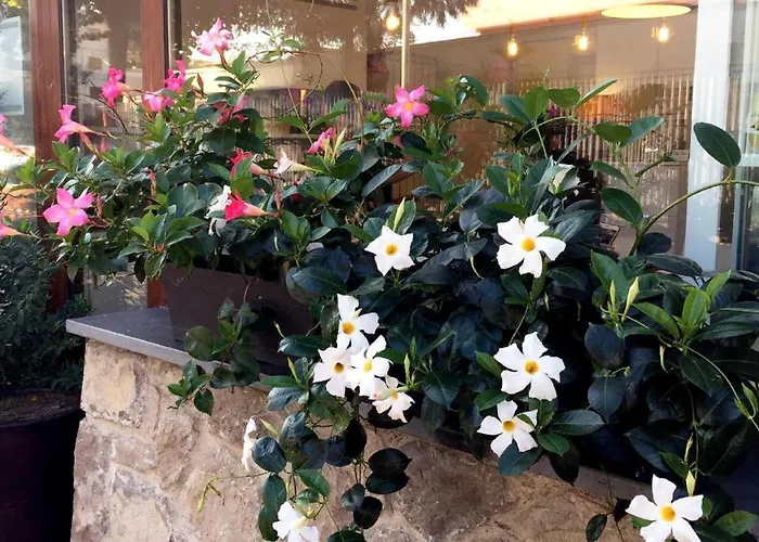 B&B Sorrento Central 住宿加早餐酒店